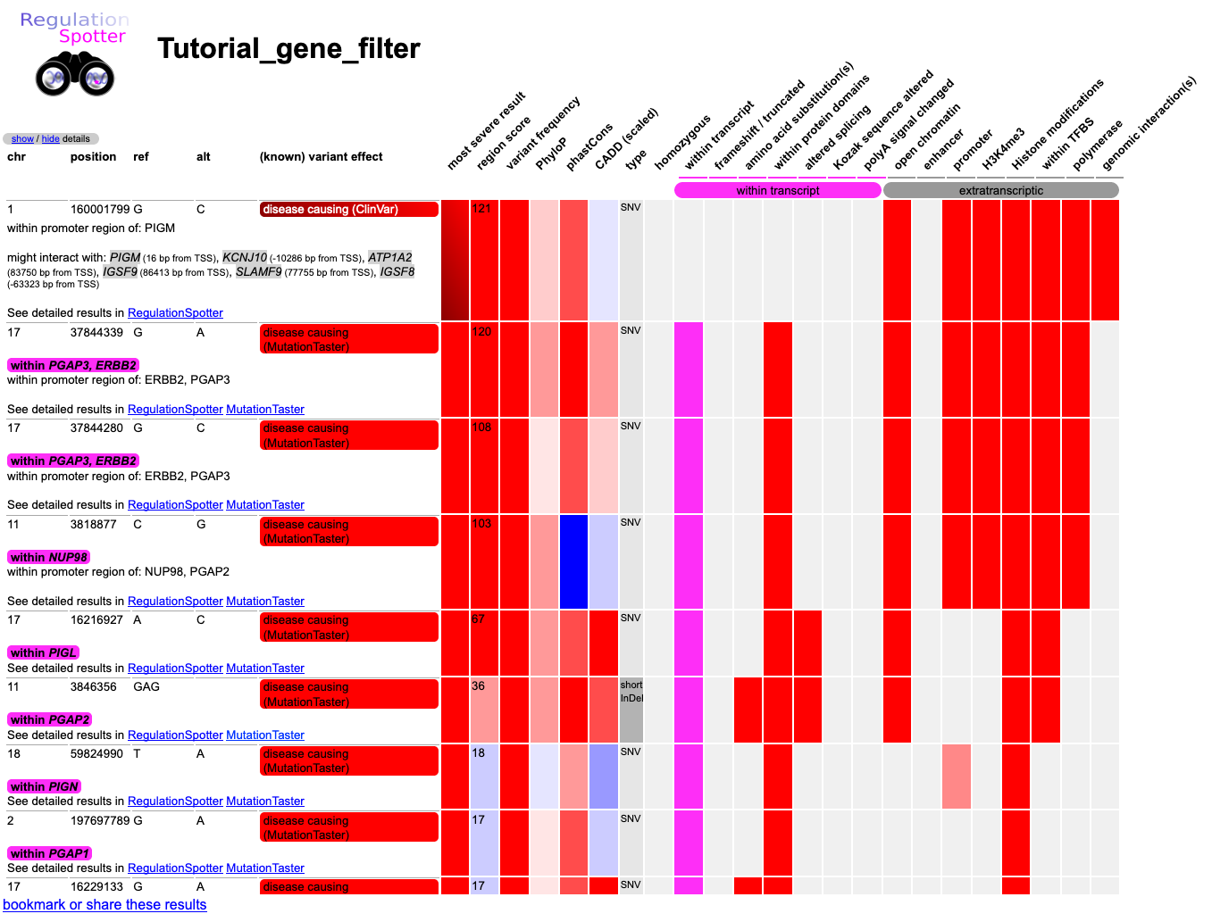 Screenshot of the results matrix after choosing how to display the results of a vcf file analysed with RegulationSpotter