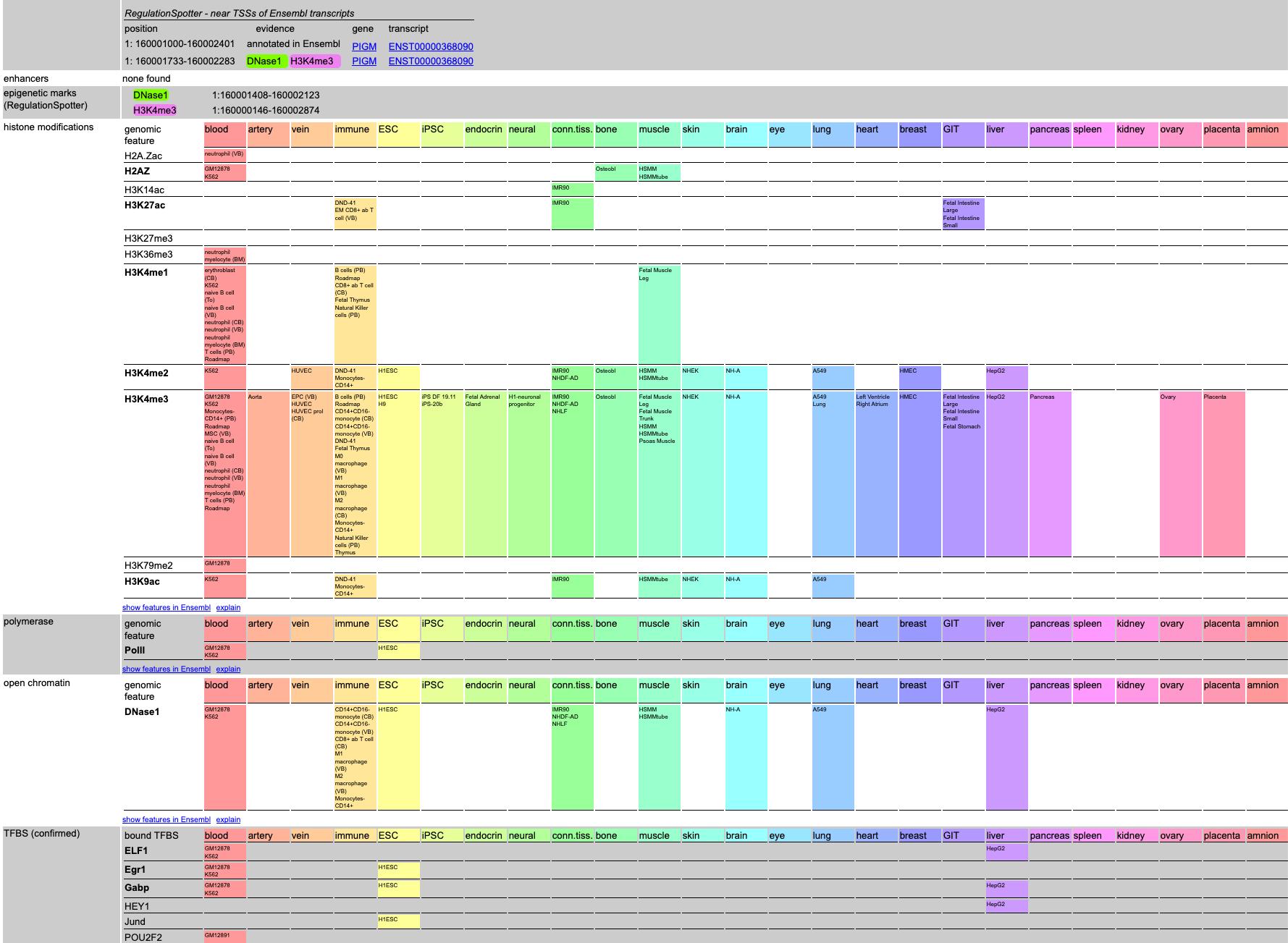 Screenshot of the second part detailed results output for a single variant